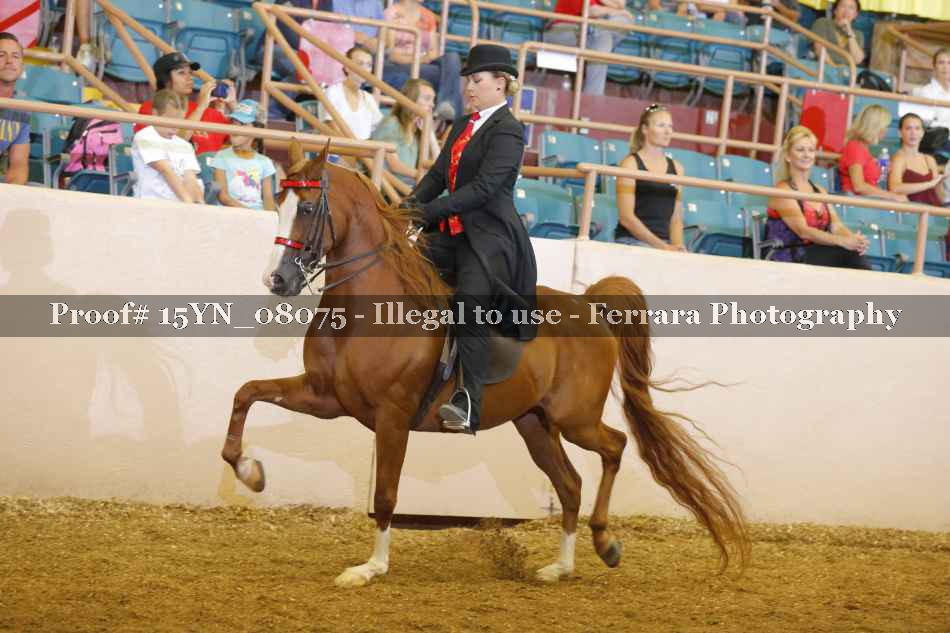 Proof 15YN_08075