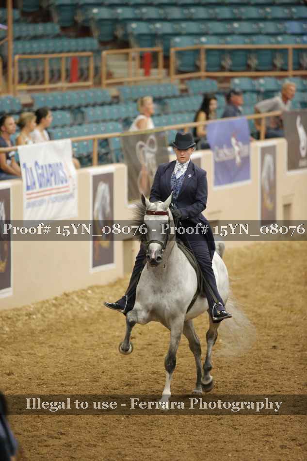 Proof 15YN_08076
