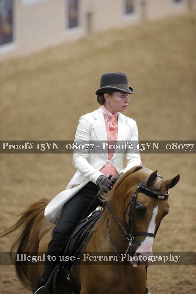 Proof 15YN_08077