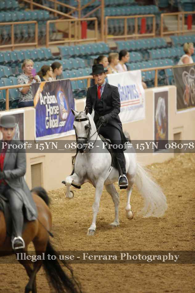Proof 15YN_08078