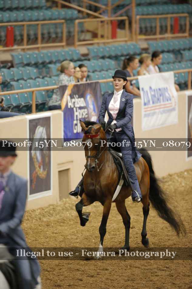 Proof 15YN_08079