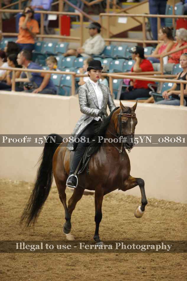 Proof 15YN_08081