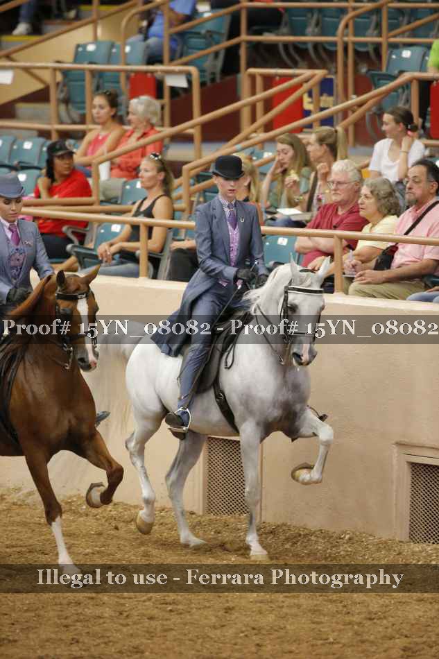 Proof 15YN_08082