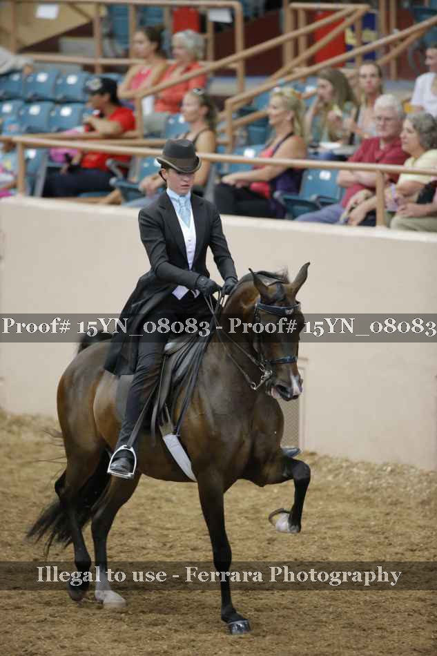 Proof 15YN_08083