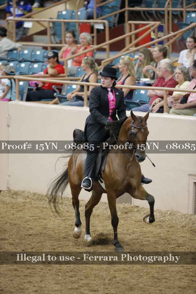 Proof 15YN_08085
