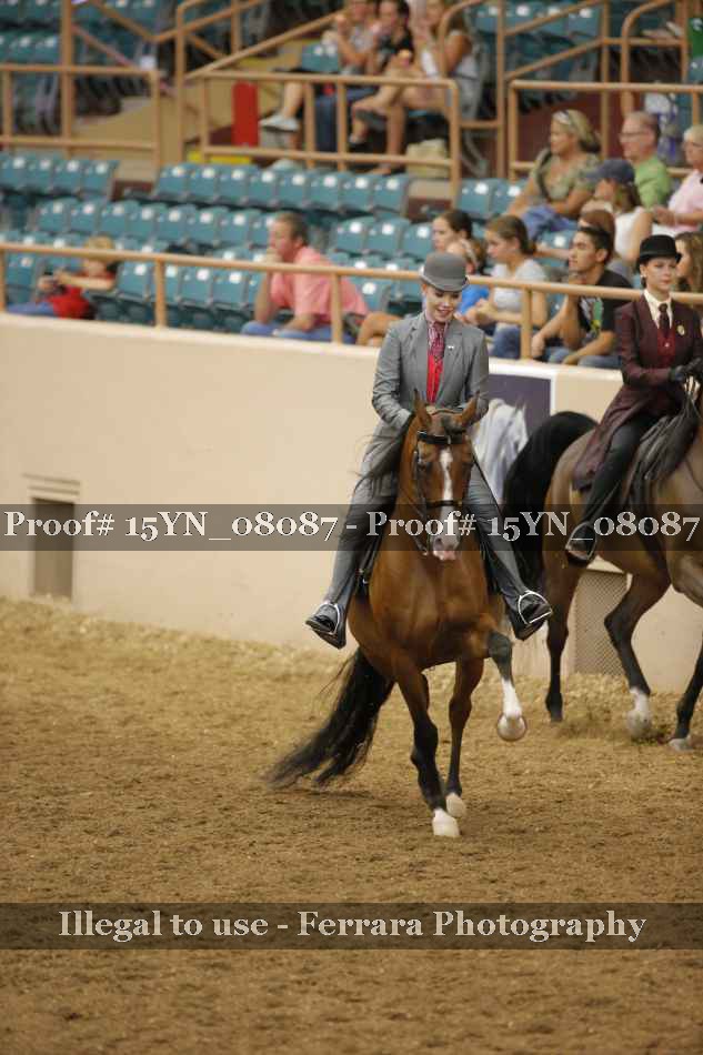 Proof 15YN_08087