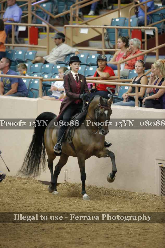 Proof 15YN_08088