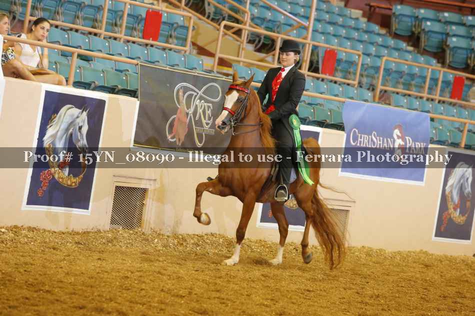 Proof 15YN_08090