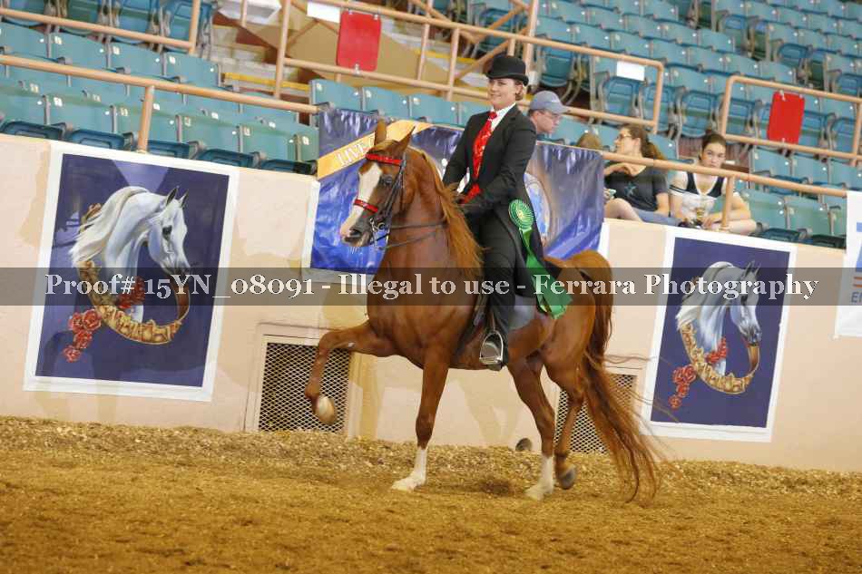 Proof 15YN_08091