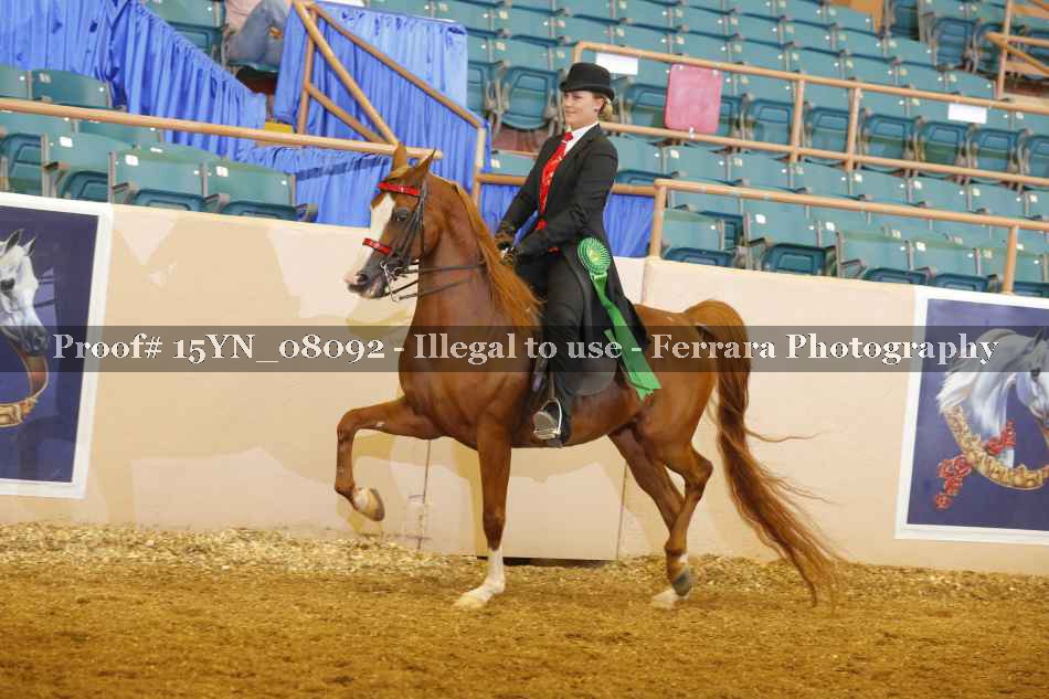 Proof 15YN_08092