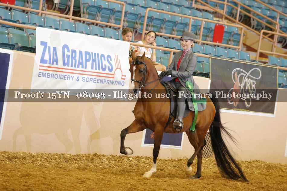 Proof 15YN_08093