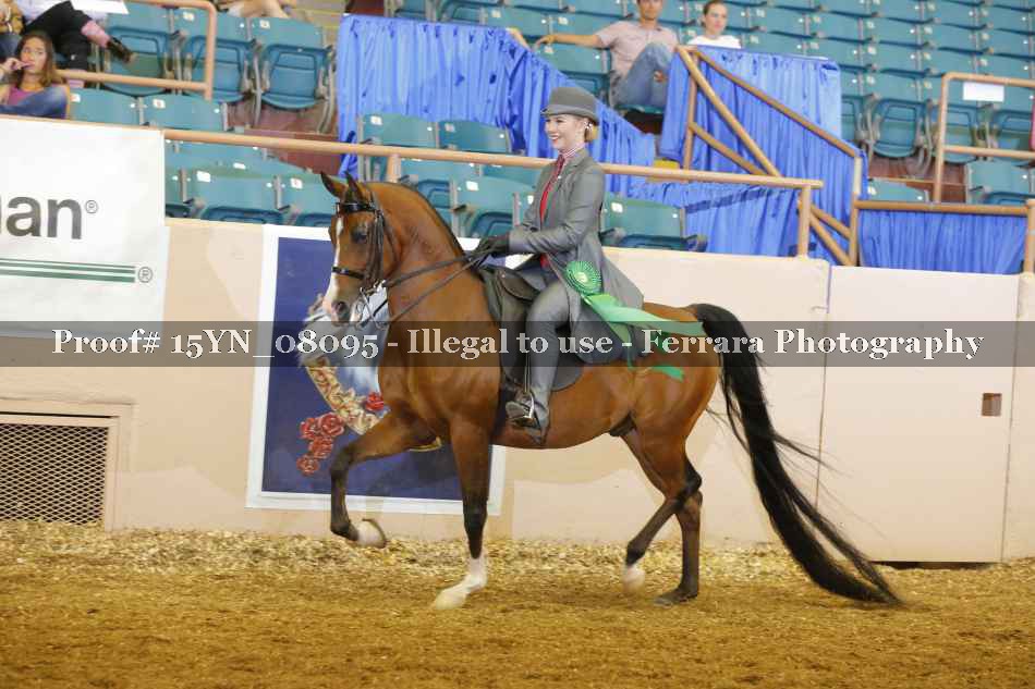 Proof 15YN_08095