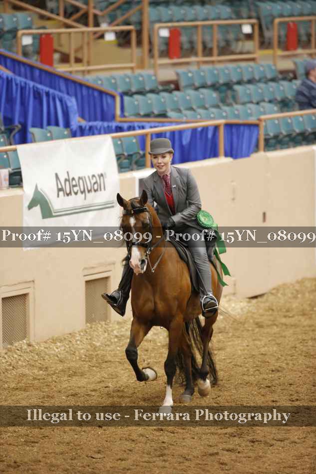 Proof 15YN_08099