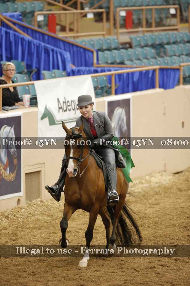 Proof 15YN_08100