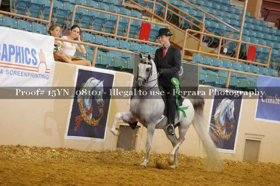 Proof 15YN_08101