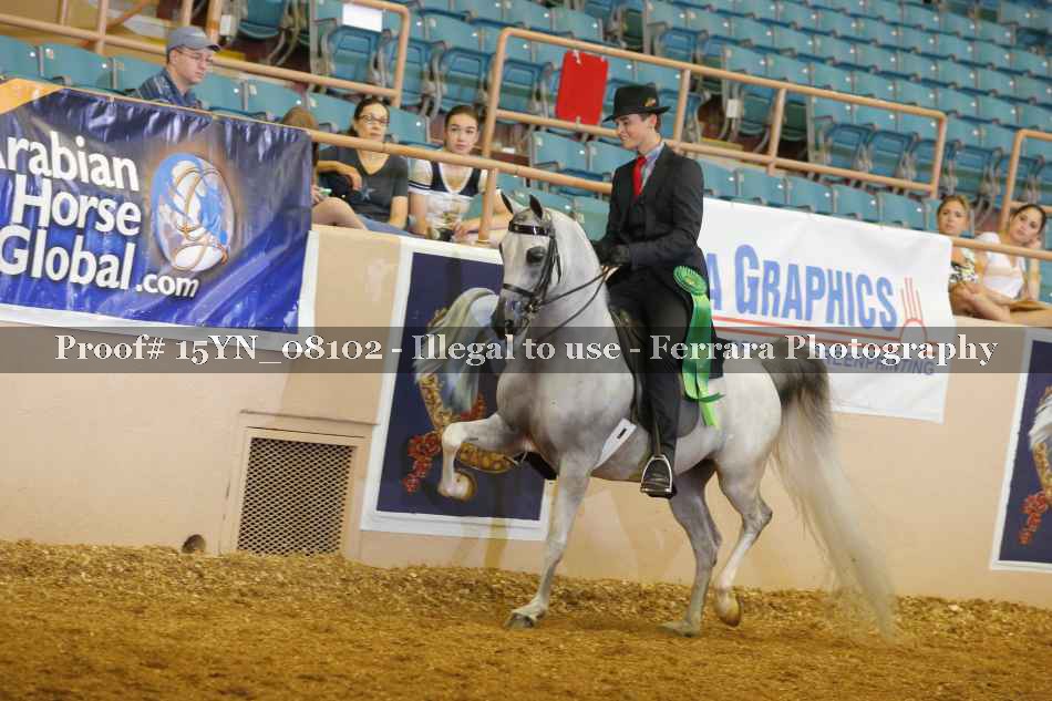 Proof 15YN_08102