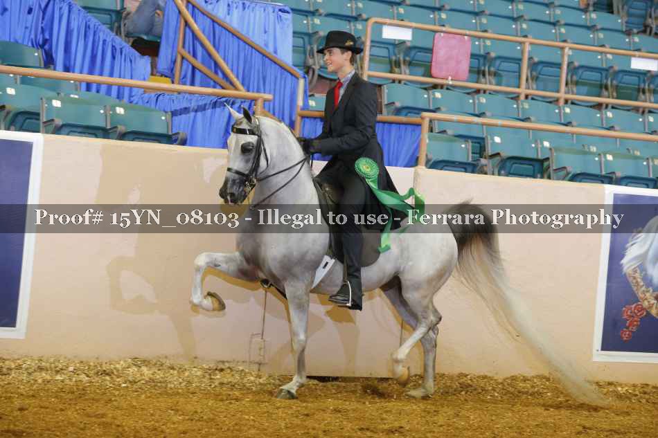 Proof 15YN_08103