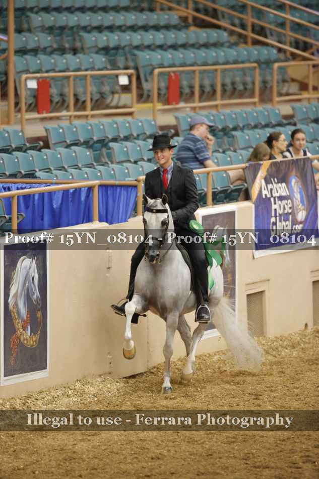 Proof 15YN_08104