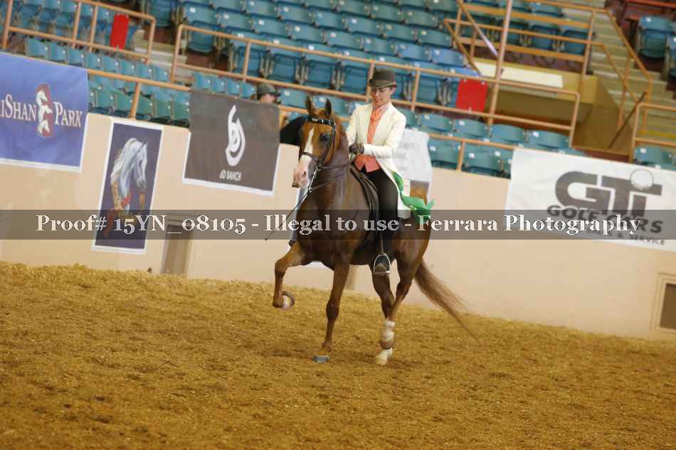 Proof 15YN_08105