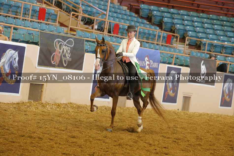 Proof 15YN_08106