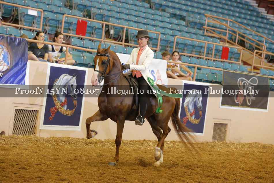 Proof 15YN_08107