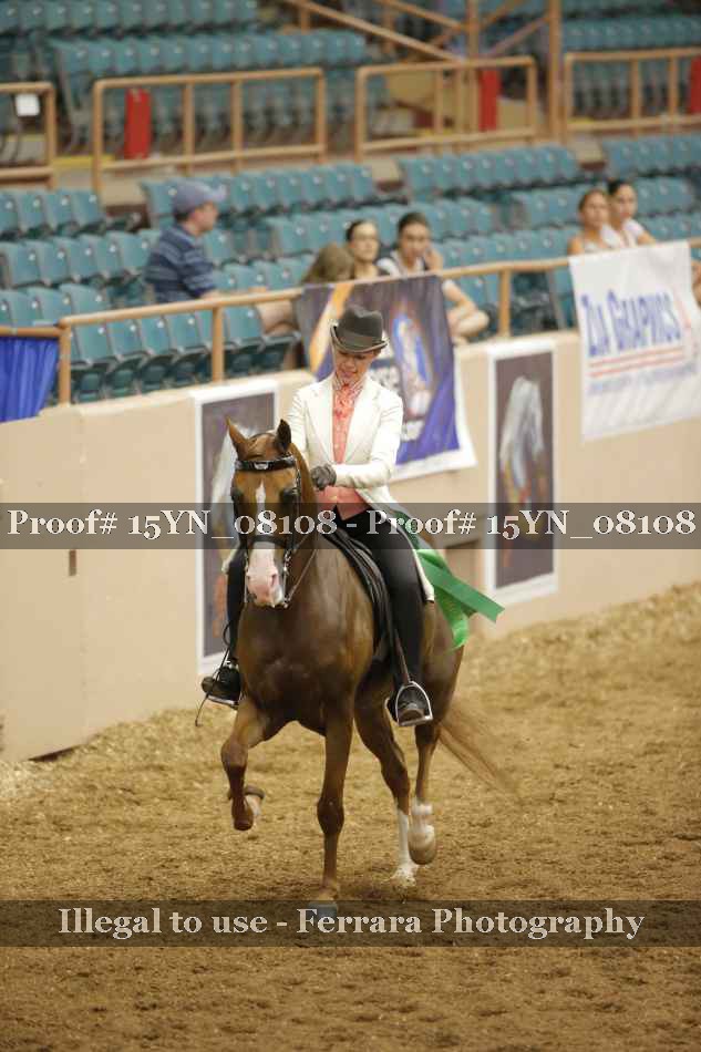 Proof 15YN_08108