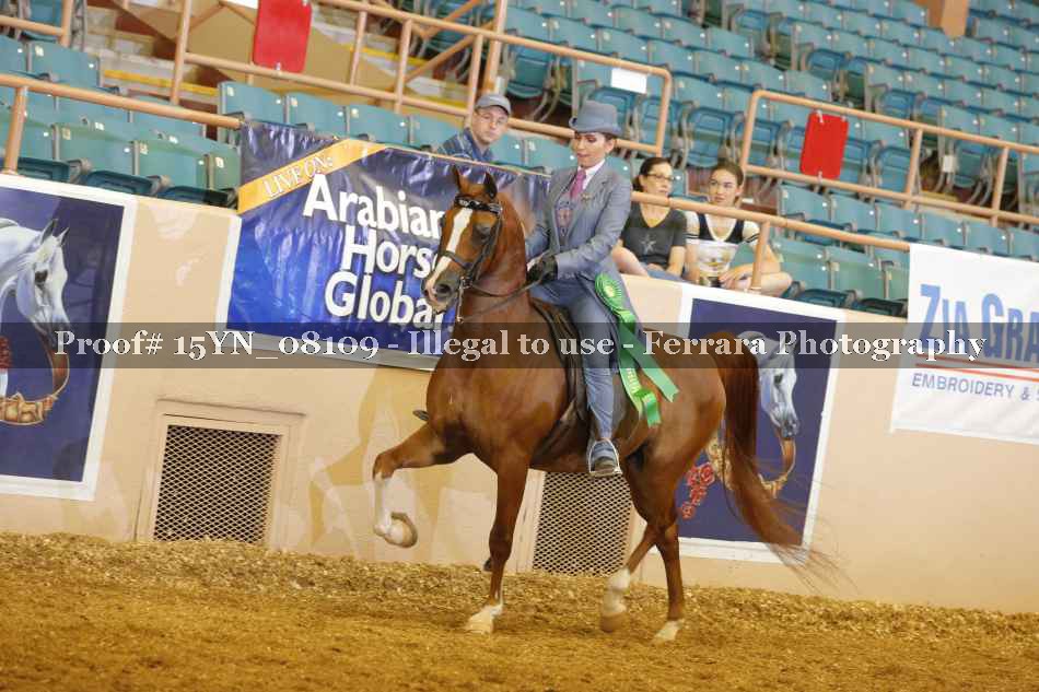 Proof 15YN_08109