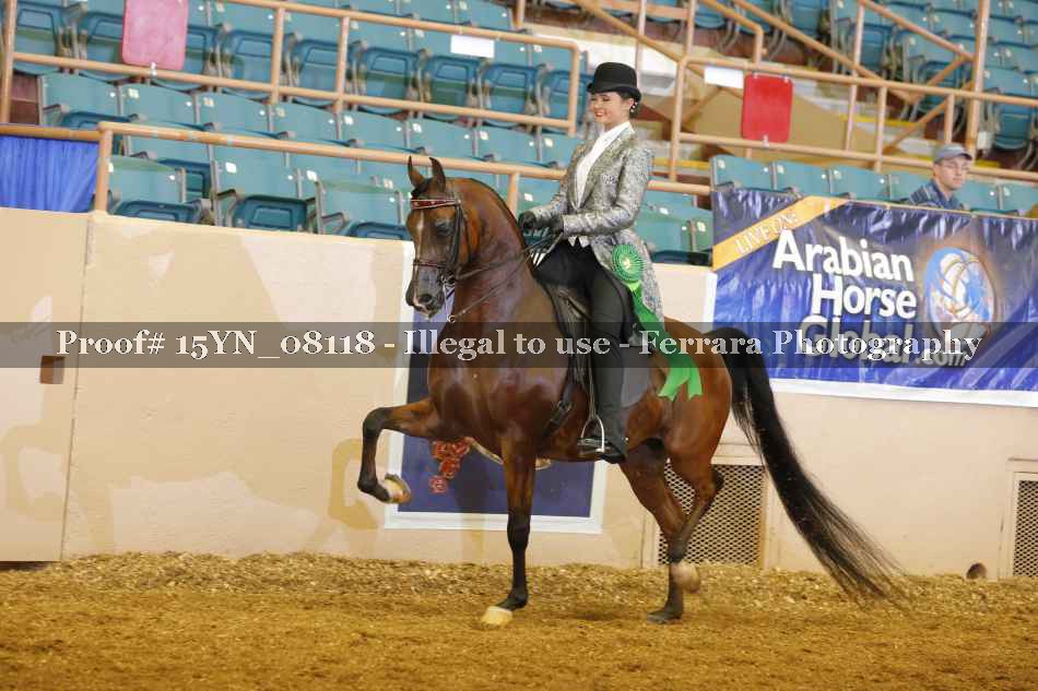 Proof 15YN_08118