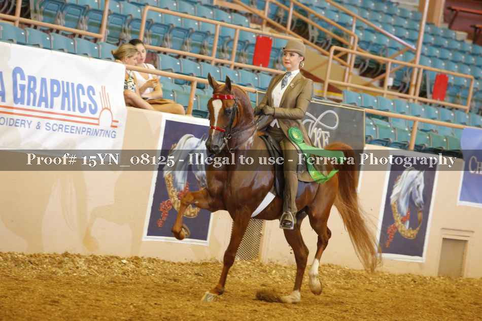 Proof 15YN_08125