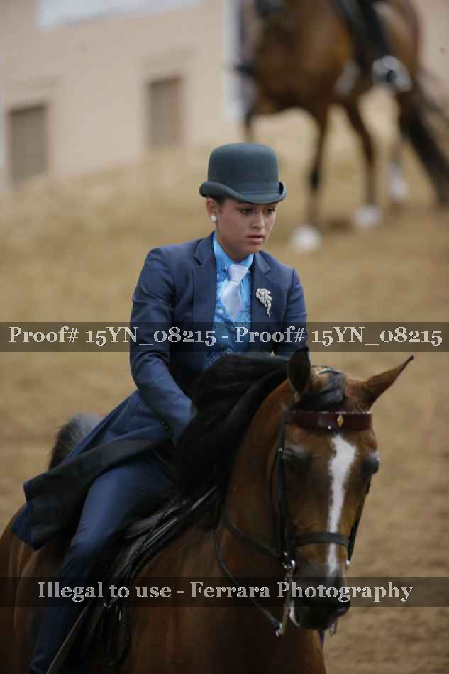 Proof 15YN_08215