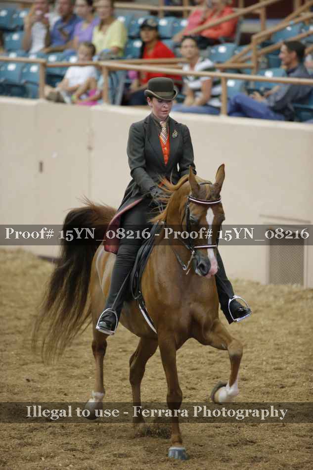 Proof 15YN_08216