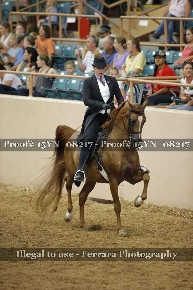 Proof 15YN_08217