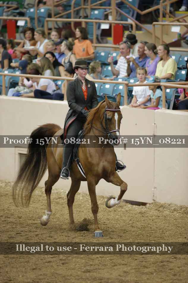 Proof 15YN_08221