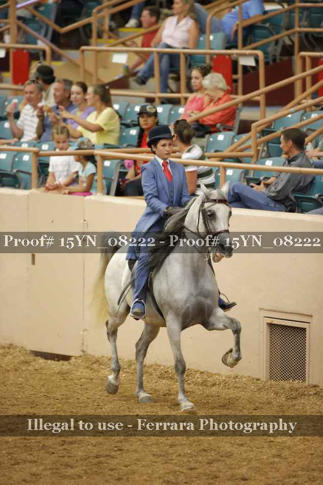 Proof 15YN_08222