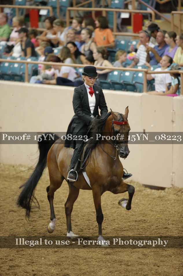 Proof 15YN_08223