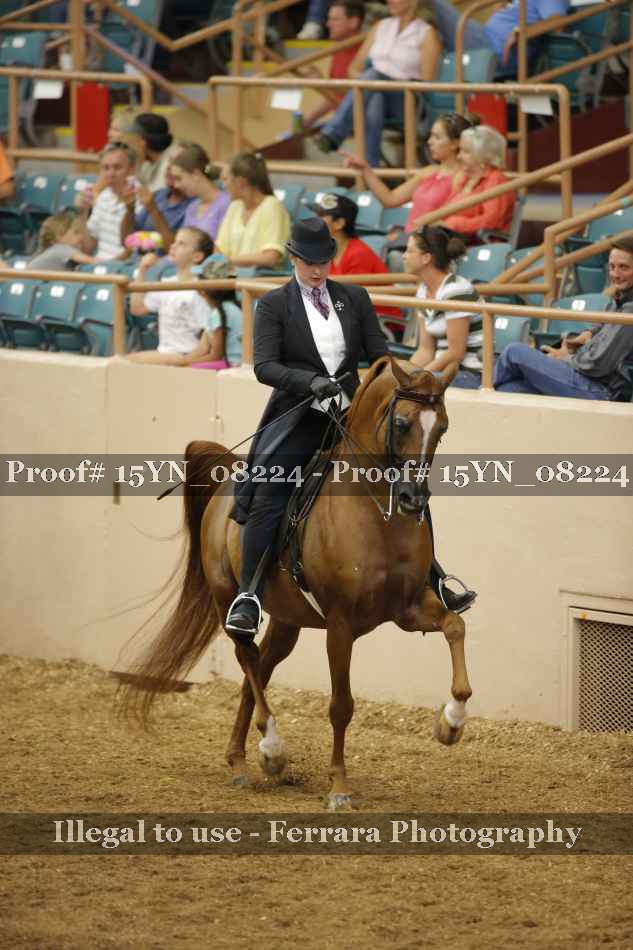 Proof 15YN_08224