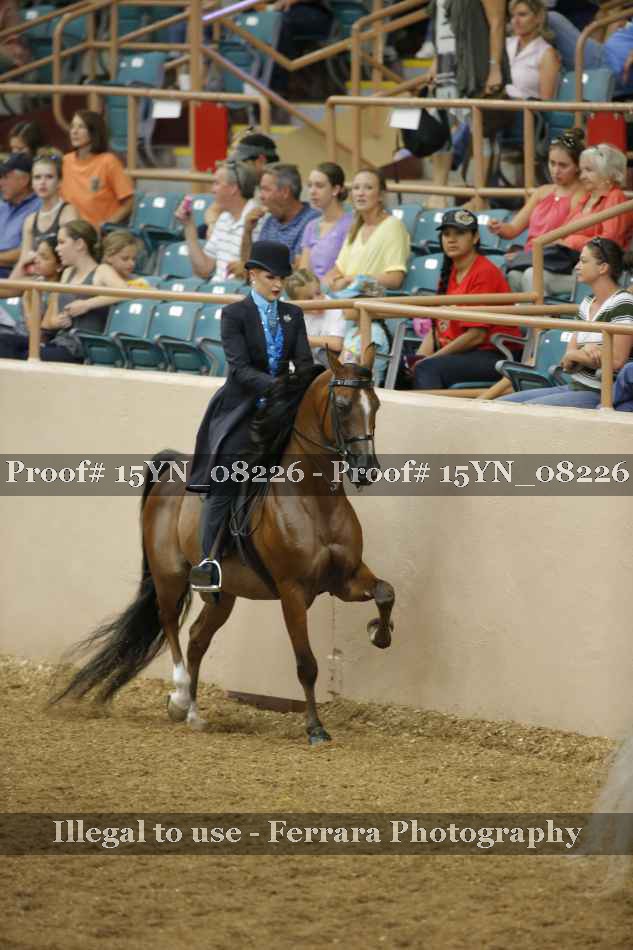Proof 15YN_08226