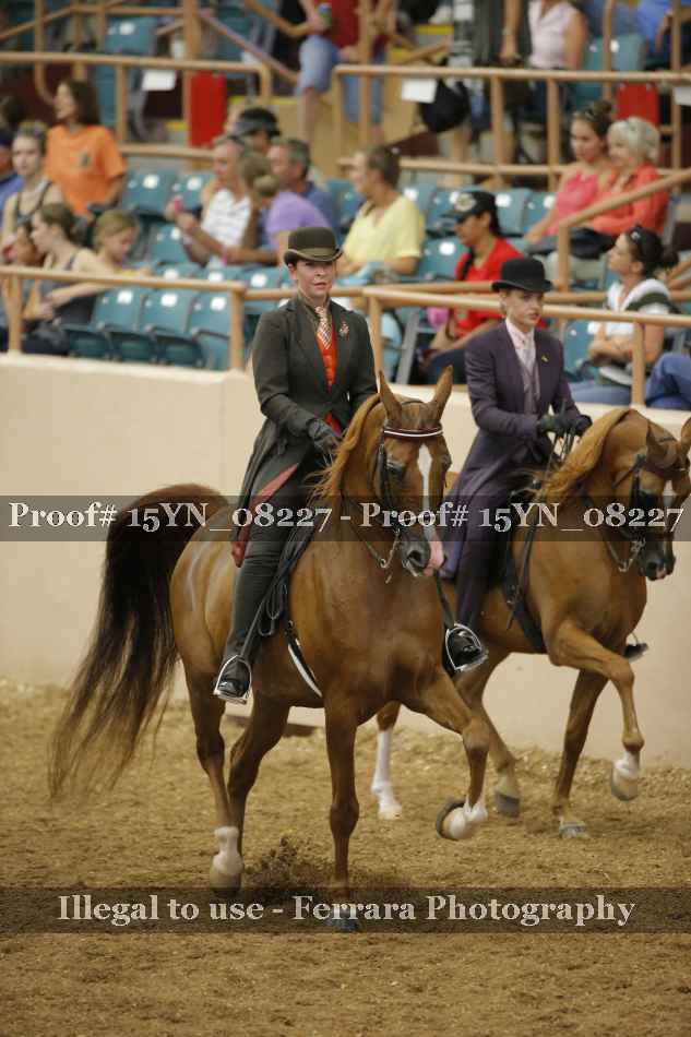 Proof 15YN_08227