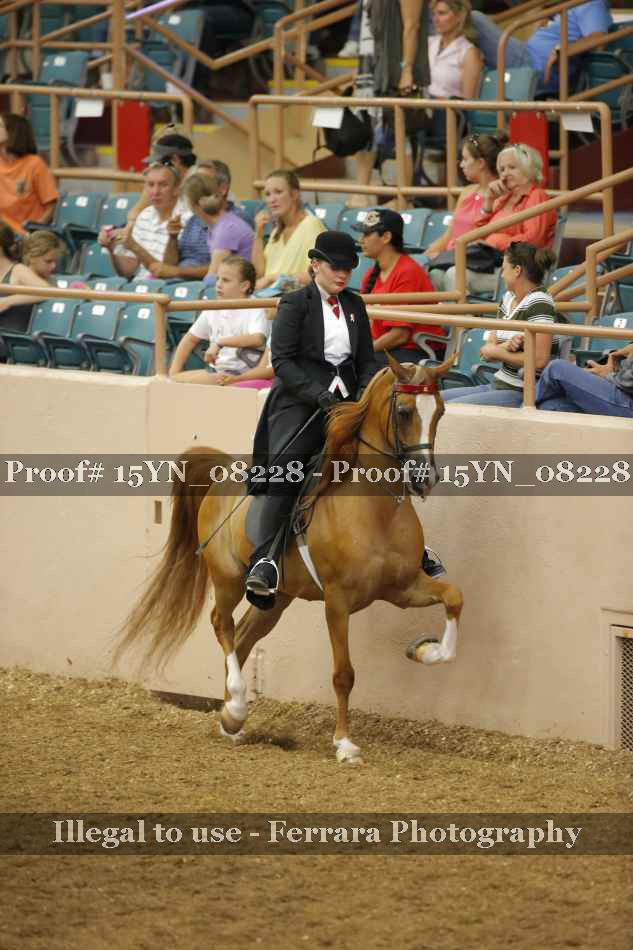 Proof 15YN_08228
