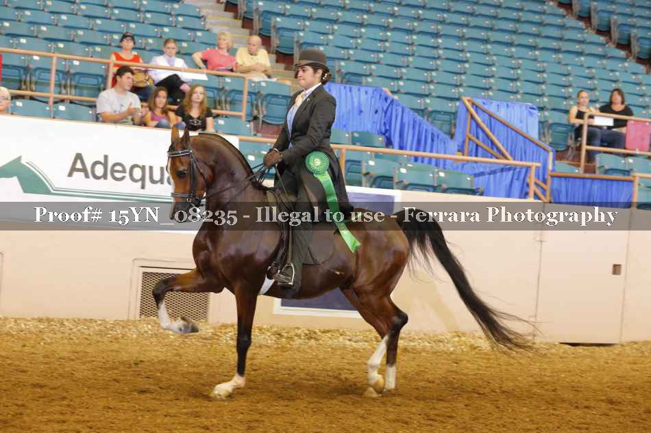 Proof 15YN_08235