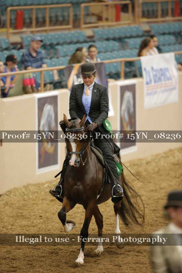 Proof 15YN_08236