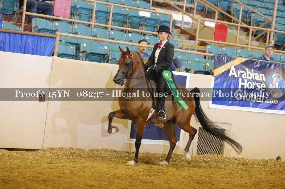 Proof 15YN_08237
