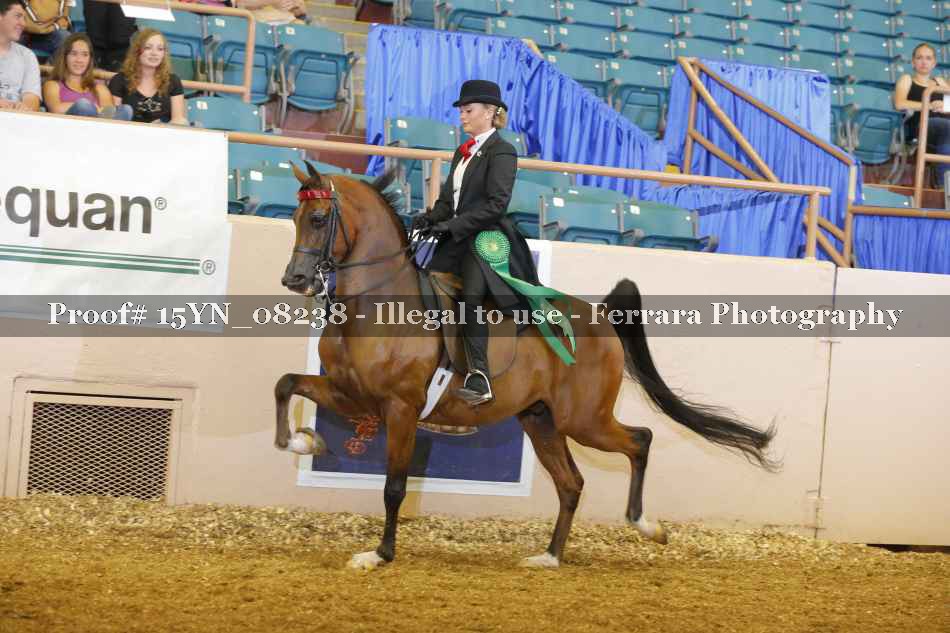 Proof 15YN_08238