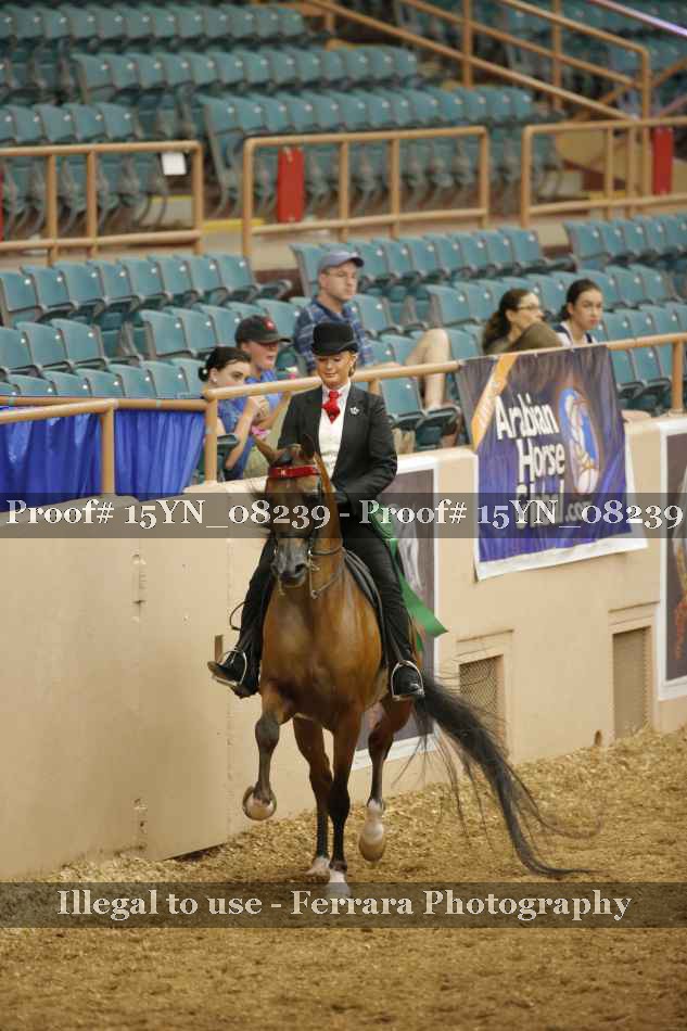 Proof 15YN_08239