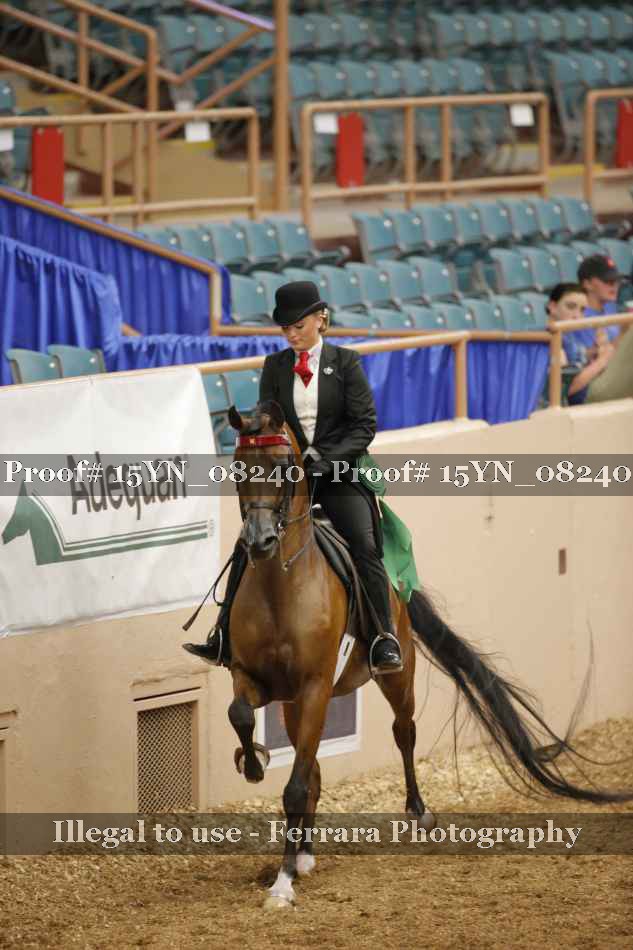 Proof 15YN_08240