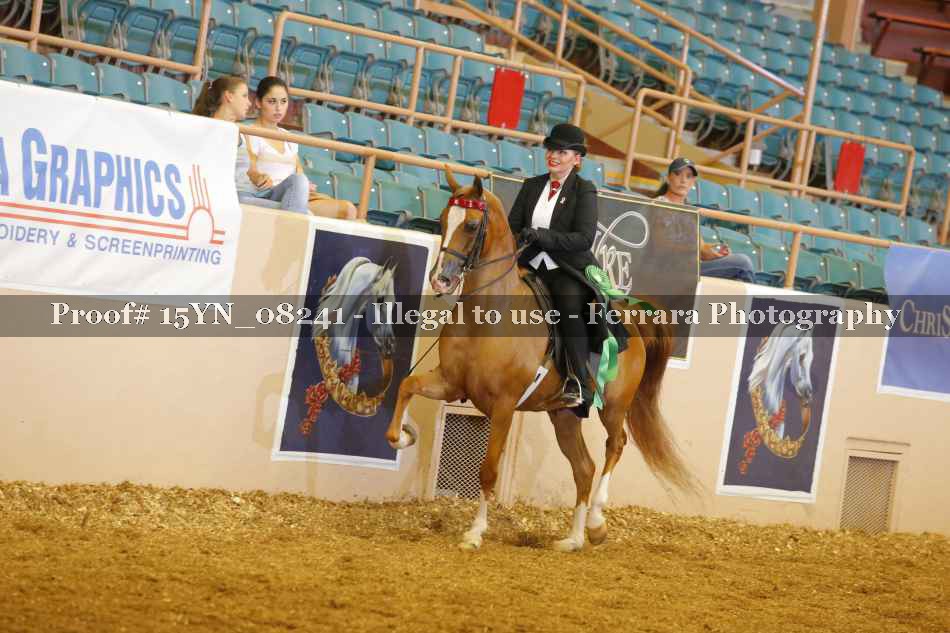 Proof 15YN_08241