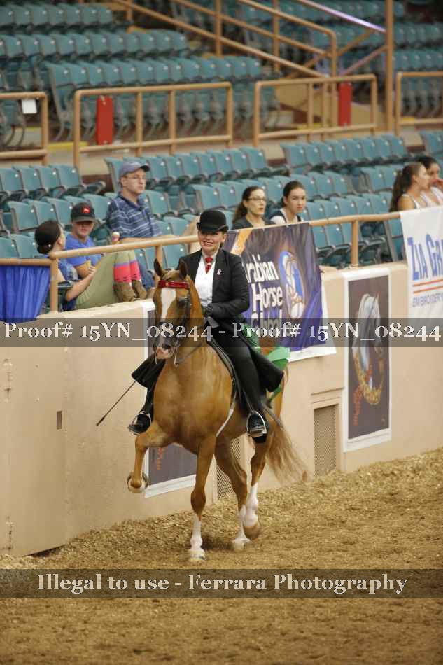 Proof 15YN_08244