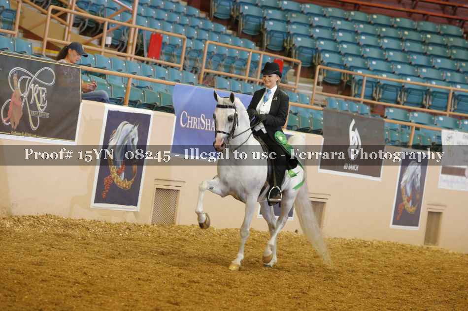 Proof 15YN_08245