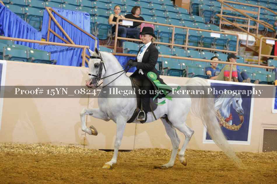Proof 15YN_08247