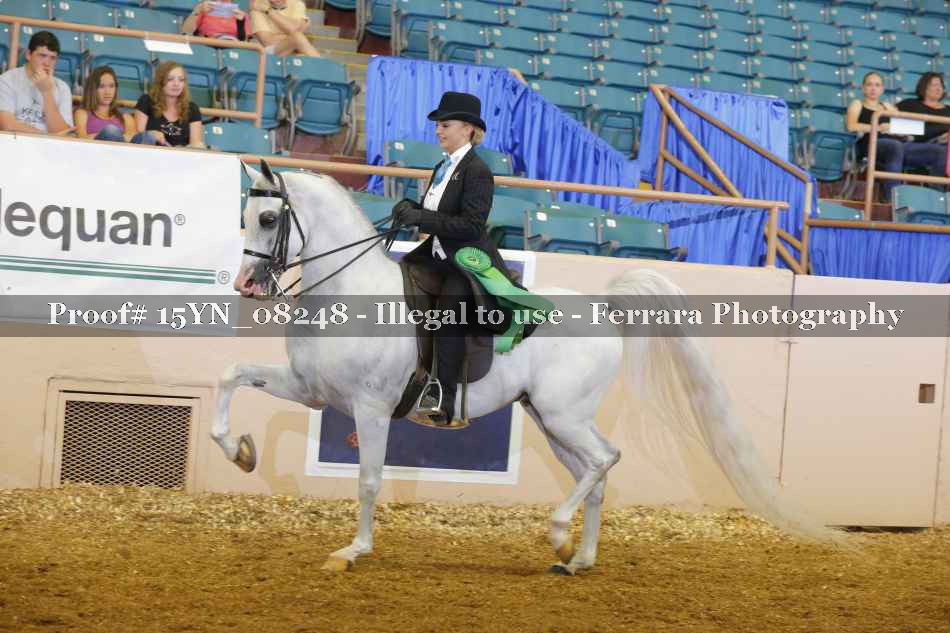 Proof 15YN_08248